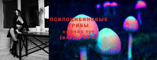 гидропоника Кулебаки